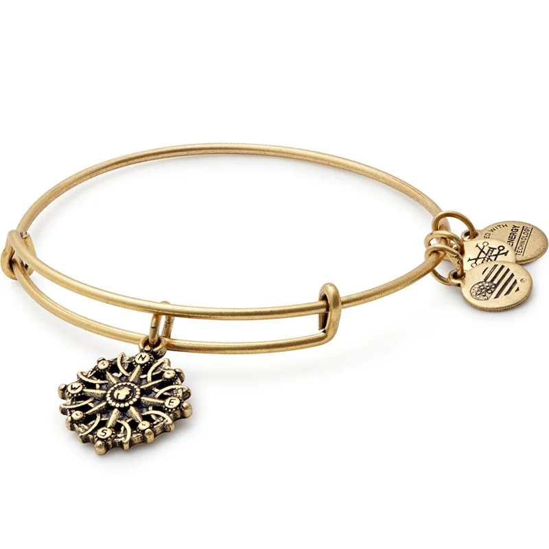 ALEX AND ANI Compass Charm Bangle