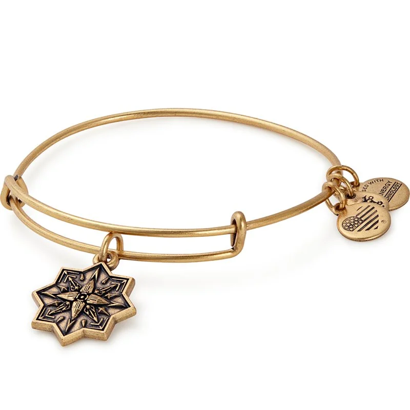 ALEX AND ANI Healing Love Charm Bangle