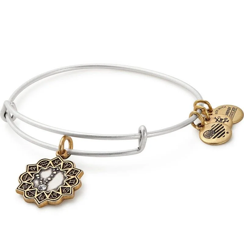 ALEX AND ANI Pisces Two Tone Charm Bangle