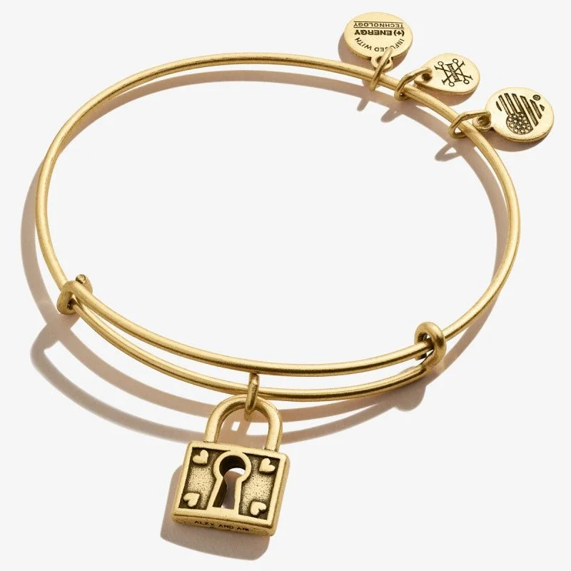 ALEX AND ANI Unbreakable Love Charm Bangle