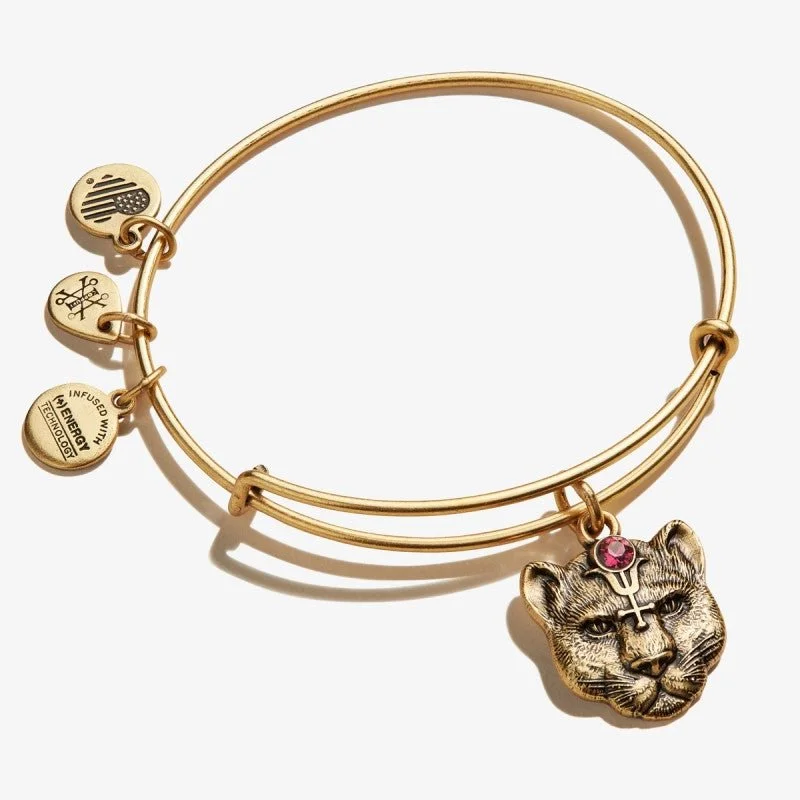 ALEX AND ANI Wild Heart Charm Bangle