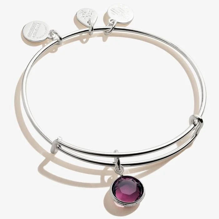 ALEX AND ANI Amethyst Birthstone Charm Bangle, February