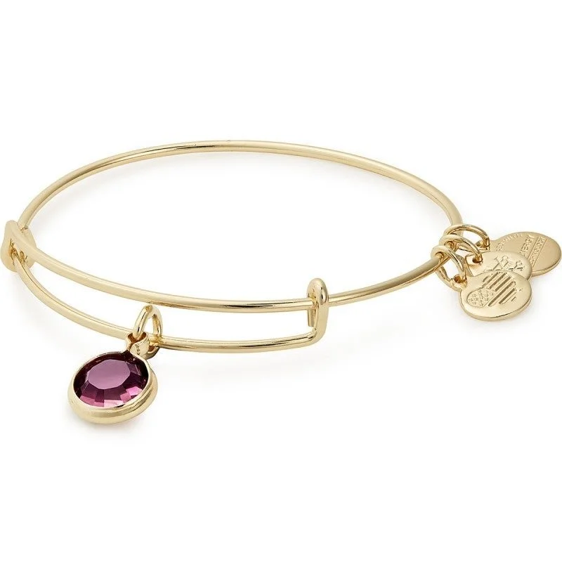 ALEX AND ANI Amethyst Birthstone Charm Bangle, February