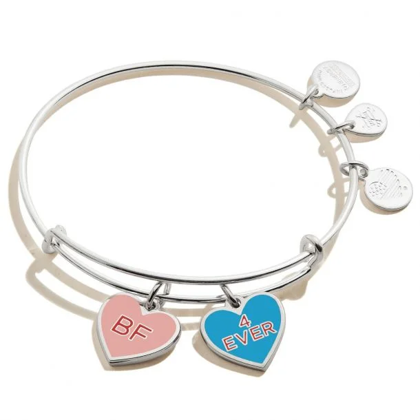 ALEX AND ANI Color Infusion Best Friends Duo Charm Bangle