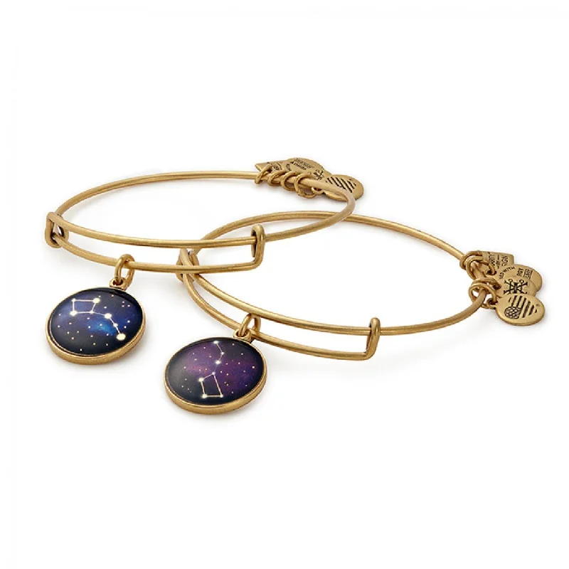 ALEX AND ANI Big and Little Dipper Charm Bangle Set of 2