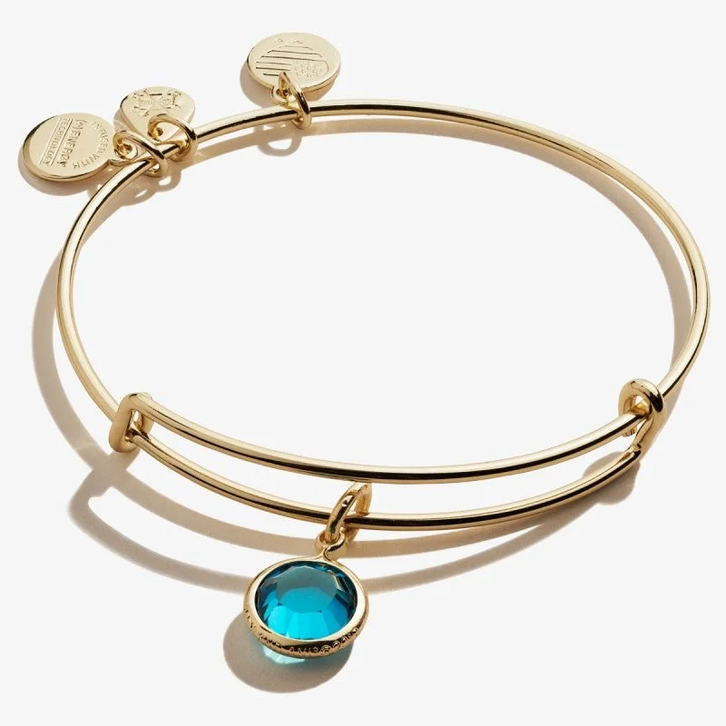 ALEX AND ANI Blue Zircon Birthstone Charm Bangle, December