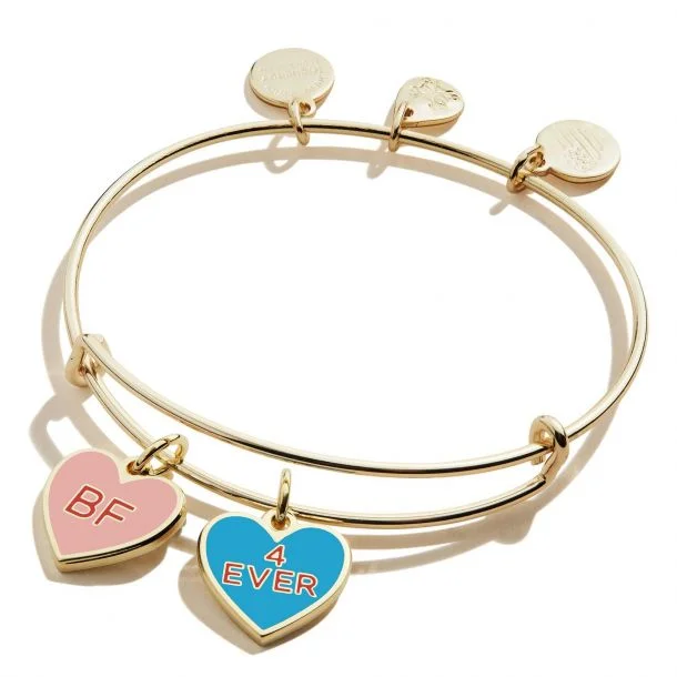 ALEX AND ANI Color Infusion Best Friends Duo Charm Bangle