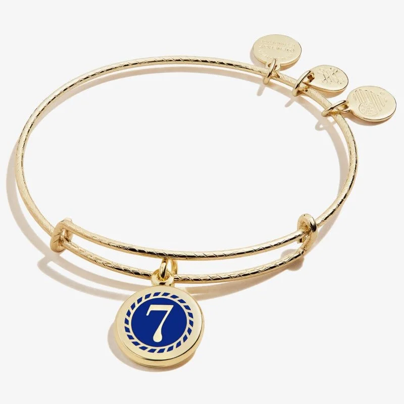 ALEX AND ANI Color Infusion Numerology Seven Charm Bangle