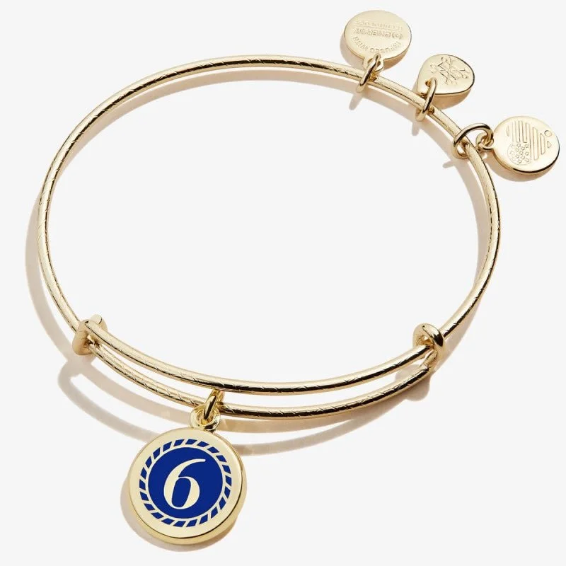 ALEX AND ANI Color Infusion Numerology Six Charm Bangle