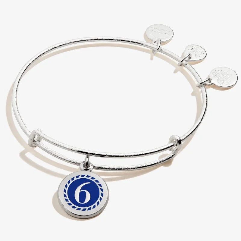 ALEX AND ANI Color Infusion Numerology Six Charm Bangle