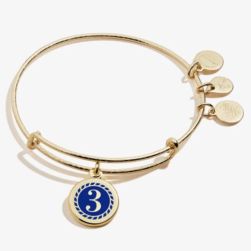 ALEX AND ANI Color Infusion Numerology Three Charm Bangle