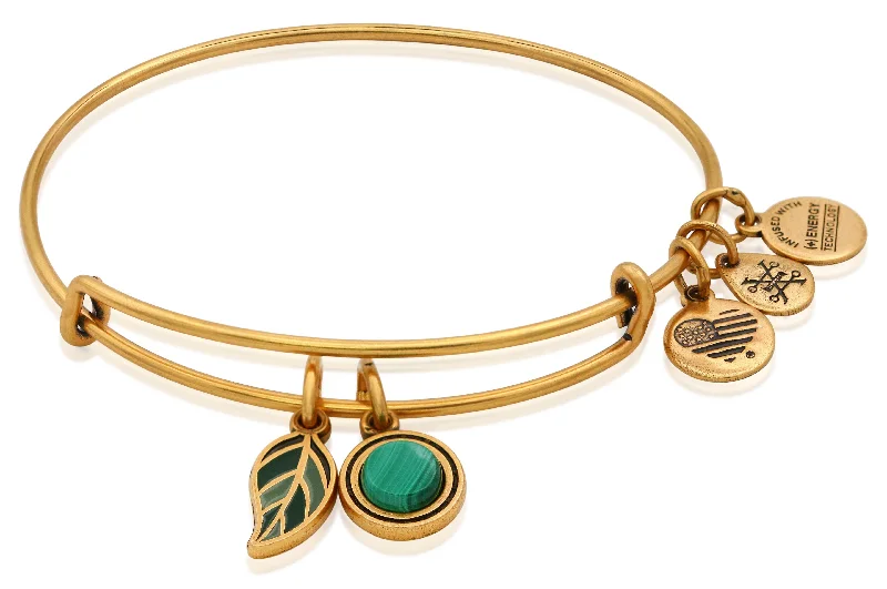 ALEX AND ANI Grounded Bracelet