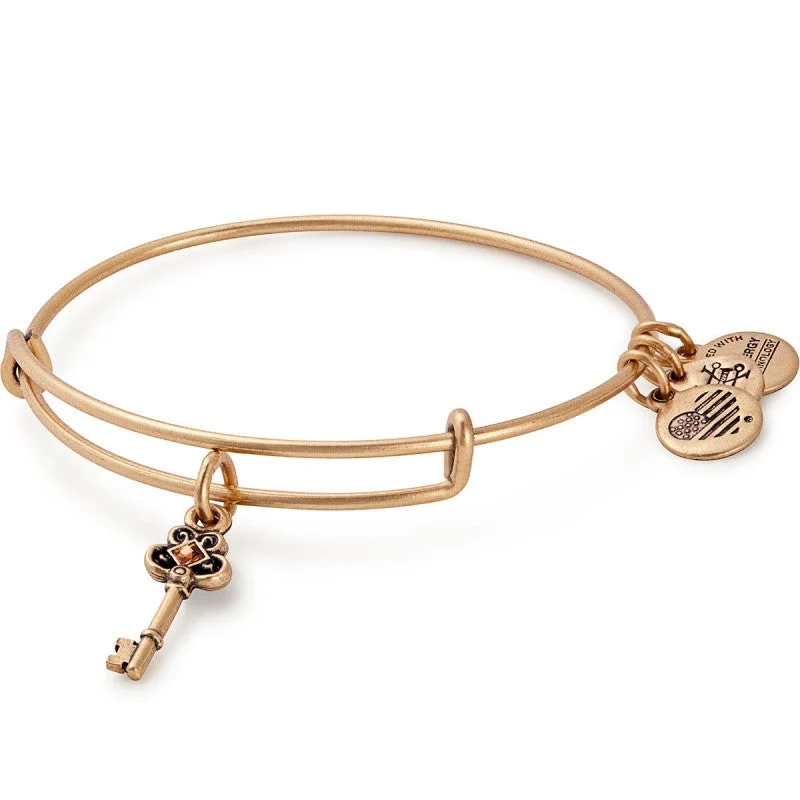 ALEX AND ANI Key To Wisdom Charm Bangle