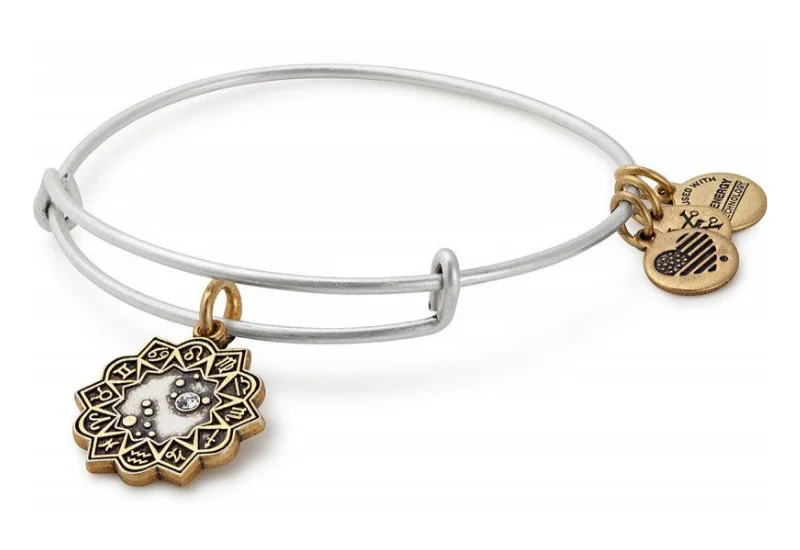 ALEX AND ANI Leo Two Tone Charm Bangle