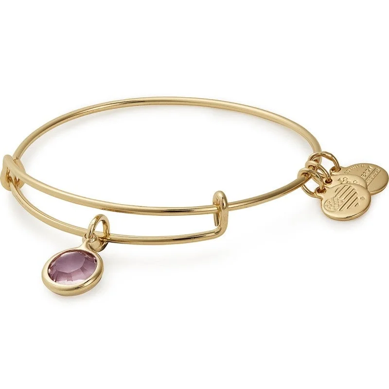 ALEX AND ANI Light Amethyst Birthstone Charm Bangle, June