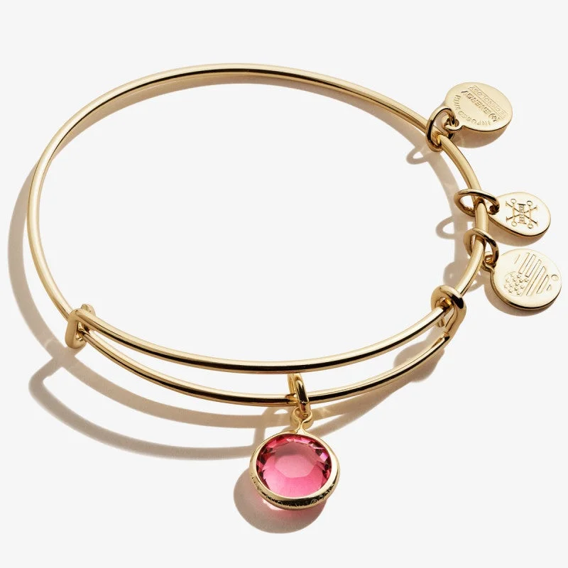 ALEX AND ANI Rose Birthstone Charm Bangle, October