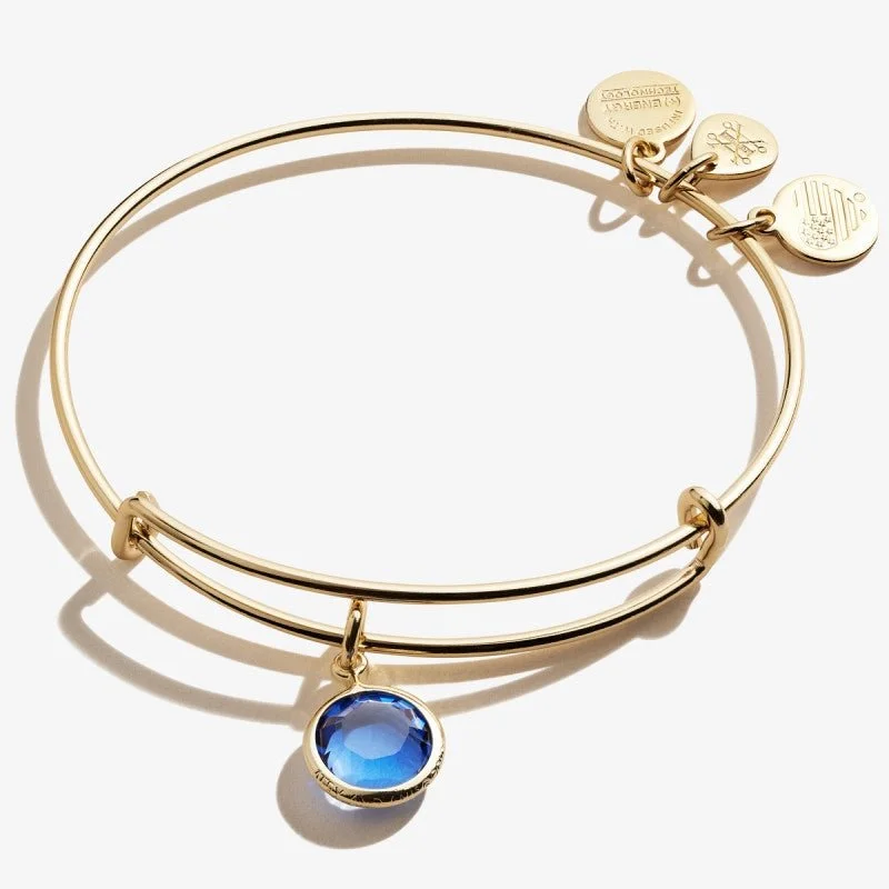 ALEX AND ANI Sapphire Birthstone Charm Bangle, September