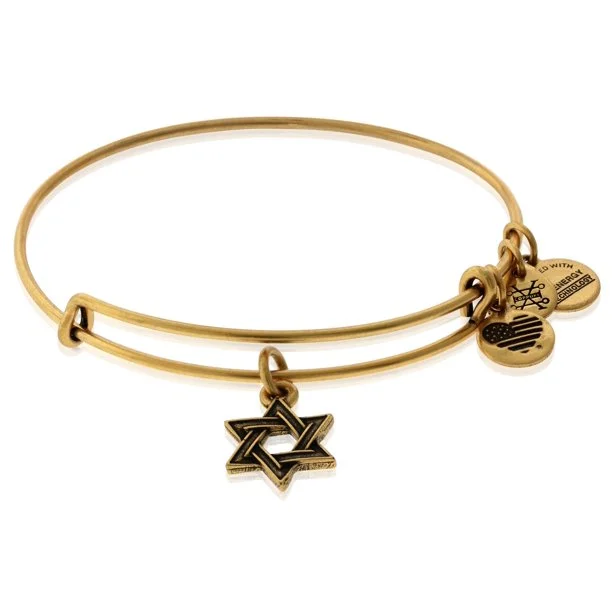 ALEX AND ANI Star of David Charm Bangle