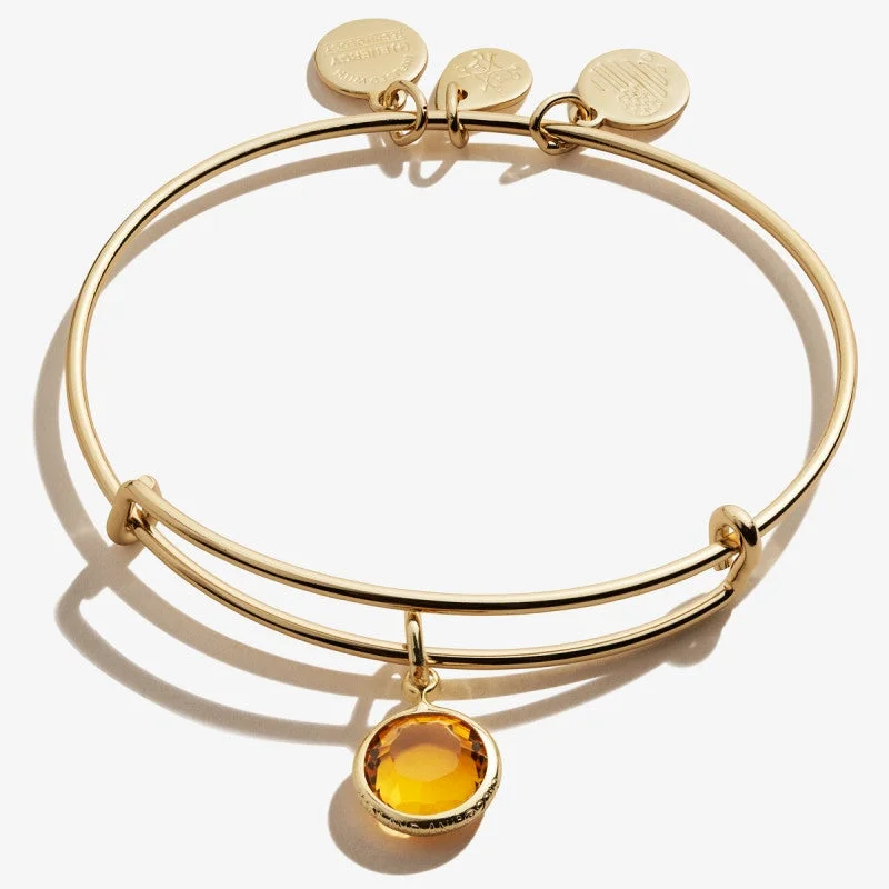 ALEX AND ANI Topaz Birthstone Charm Bangle, November